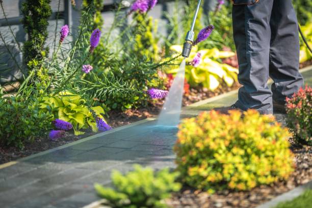 Professional Pressure Washing Services in Hamburg, NJ