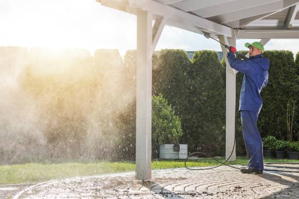 Best Solar Panel Cleaning  in Hamburg, NJ